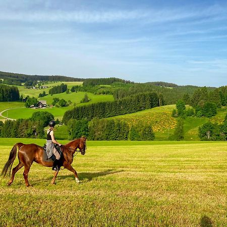 Ferienhof Gerda Sankt Georgen im Schwarzwald Esterno foto