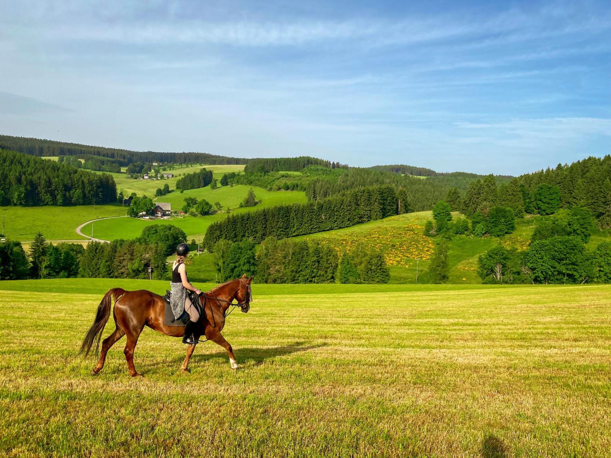 Ferienhof Gerda Sankt Georgen im Schwarzwald Esterno foto